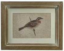 Framed Bird Print, rectangle