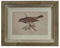 Framed Bird Print, rectangle