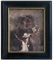 Dog Portrait Print