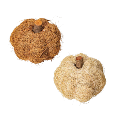 Dried Botanical Pumpkin