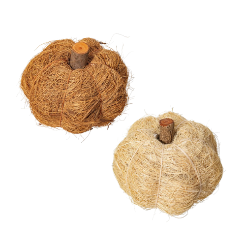 Dried Botanical Pumpkin