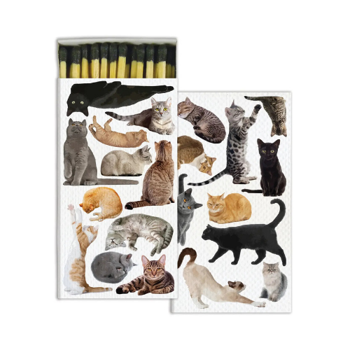 Safety Matches - Cats