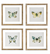Wood Framed Butterfly Print
