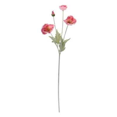 Poppy Spray