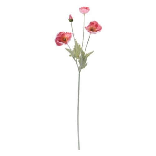 Poppy Spray
