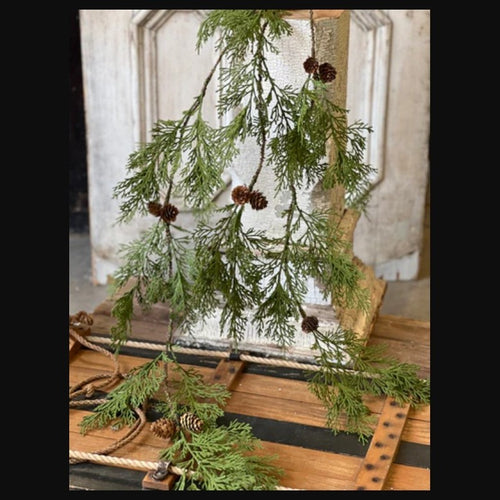 Hemlock Vine
