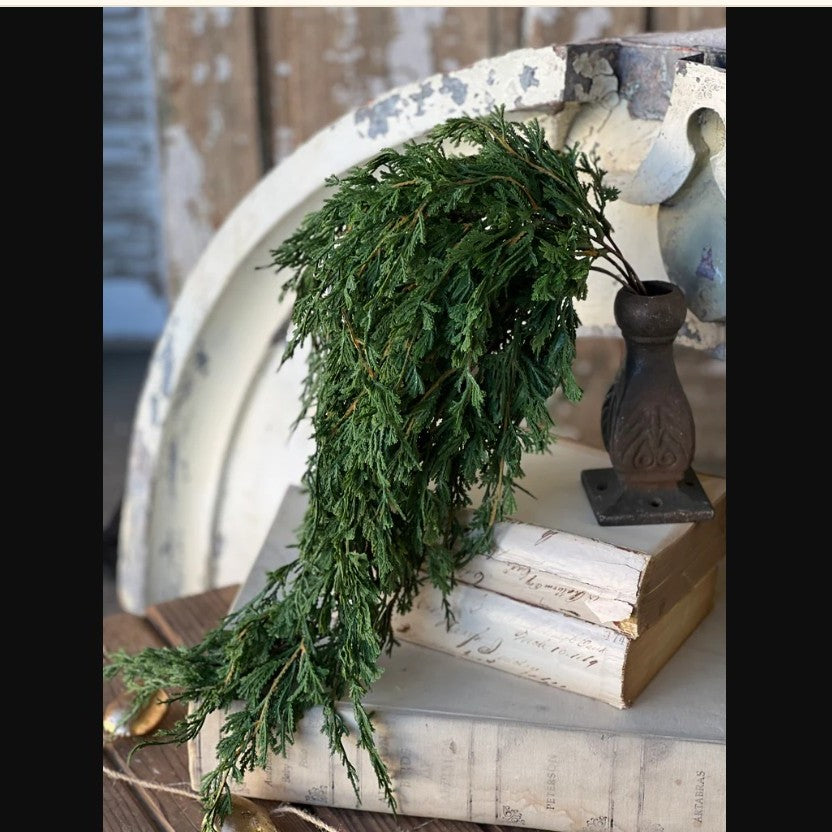 Hanging Cedar Stem