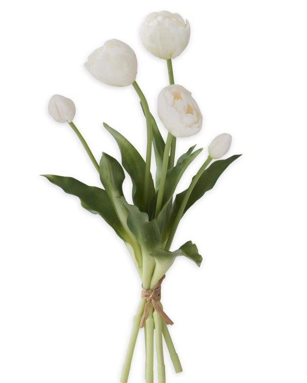 Tulip and Bud Bundle, 5 stem