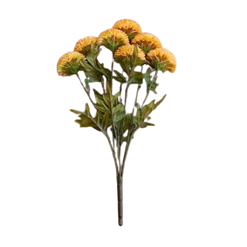 Dahlias Bunch, yellow