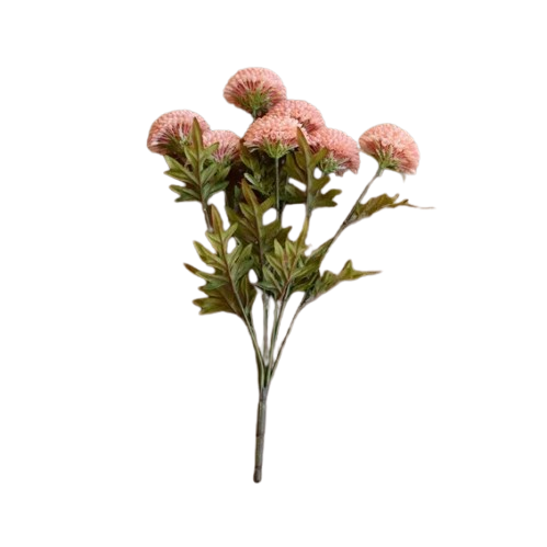 Dahlias Bunch, pink