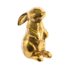 Golden Bunny