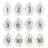 Twelve Days of Christmas Ornaments, set/12