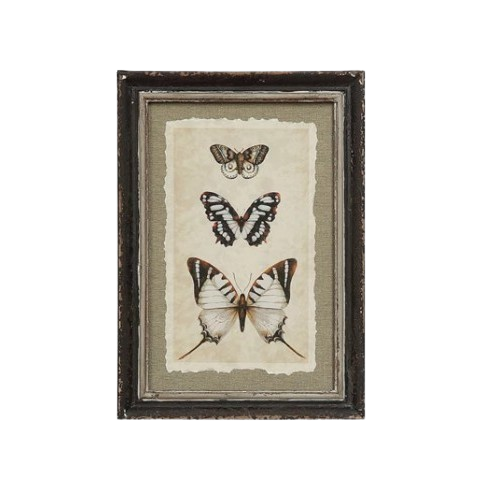 Framed Print, white butterfly