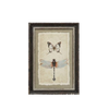 Framed Print, butterfly/dragonfly