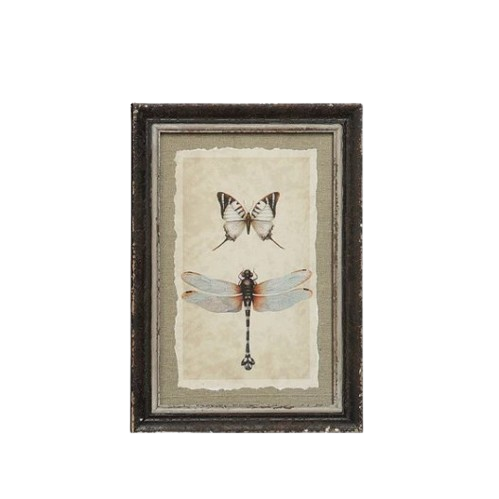 Framed Print, butterfly/dragonfly