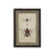 Framed Print, dragonfly/bee