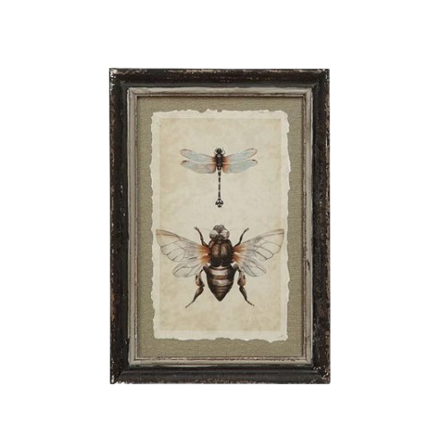 Framed Print, dragonfly/bee