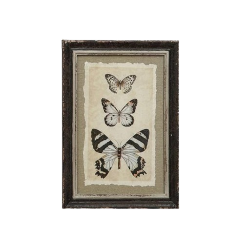 Framed Print, blue butterfly