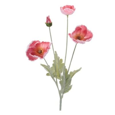 Poppy Spray