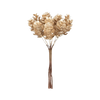 Fir Cone Pick, champagne