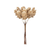 Fir Cone Pick, champagne