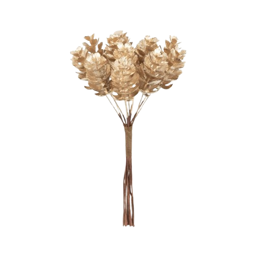Fir Cone Pick, champagne