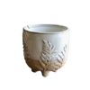 Ceramic Fern Planter