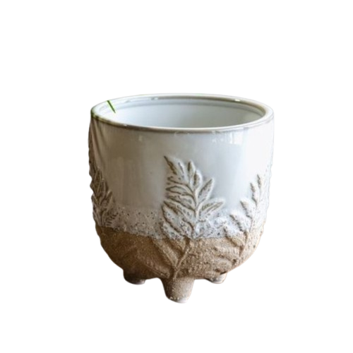 Ceramic Fern Planter