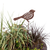 Bird Stake