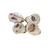 Oyster Shell Magnet