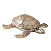 Gold Turtle