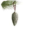 Pinecone Ornament