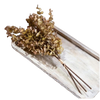Eucalyptus Bundle