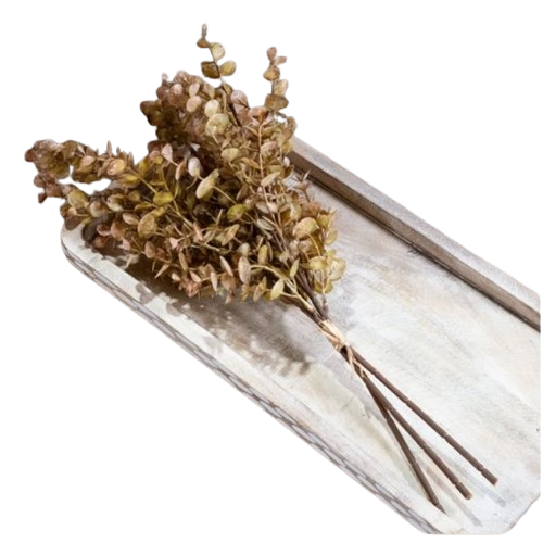 Eucalyptus Bundle
