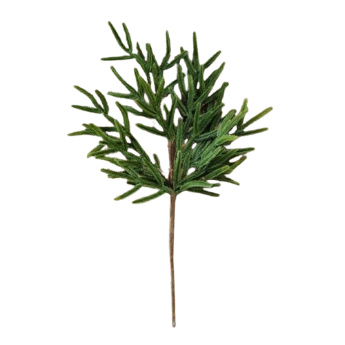 Pine Branch Pick