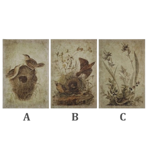 Decorator Paper with Birds