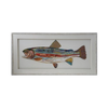 Framed Fish Collage