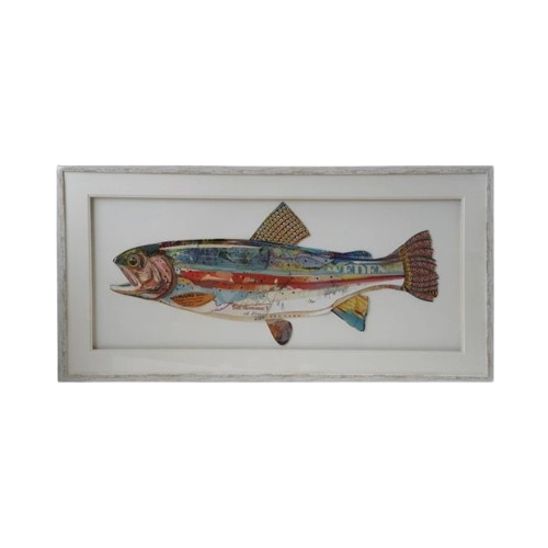 Framed Fish Collage
