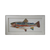 Framed Fish Collage