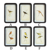 Framed Bird Art