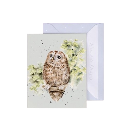 Gift Enclosure Card - Treetops