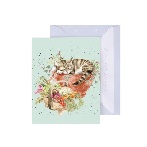 Gift Enclosure Card - Purrfect Day