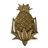 Pineapple Door Knocker