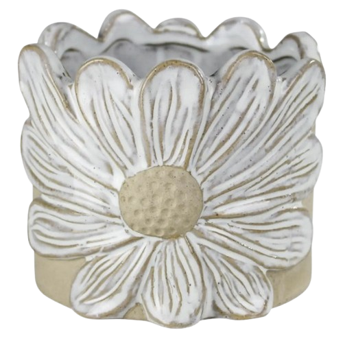 Cement Daisy Pot