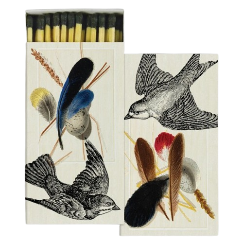 Safety Matches, sparrows