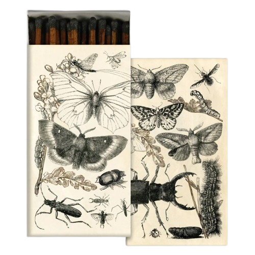 Safety Matches, wings