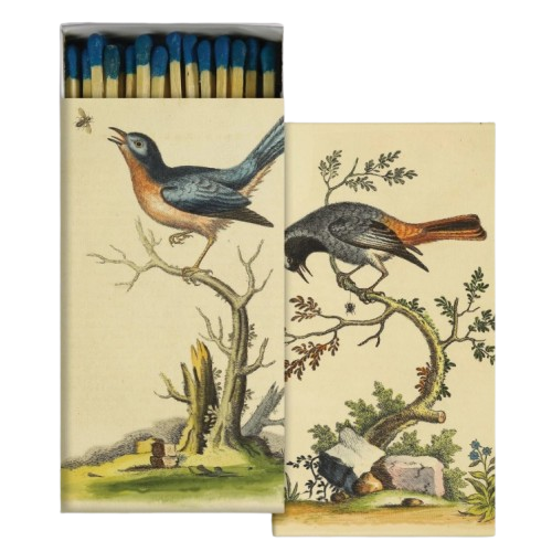 Safety Matches, warwick