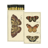 Safety Matches, butterfly