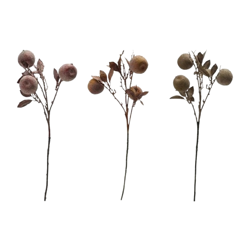 Crab Apple Stem