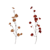 Leaf Branch
